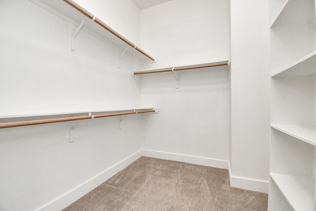 Building Photo - 1105 Olivier Ln