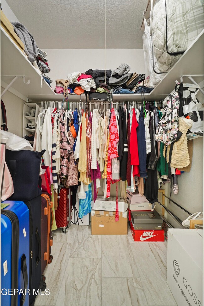 Building Photo - 10628 Springwood Dr