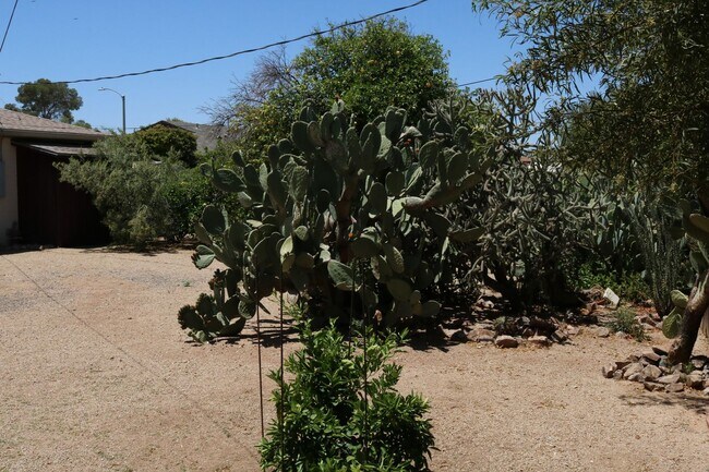 Building Photo - Two bedroom one bath fully furnished located in central Tucson!