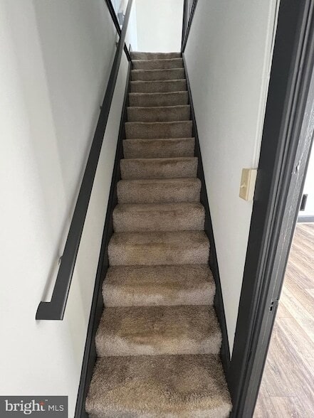 Building Photo - 438 Mitchell Ave