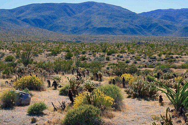 Gorgeous Mountains - 835 Alta Rdg