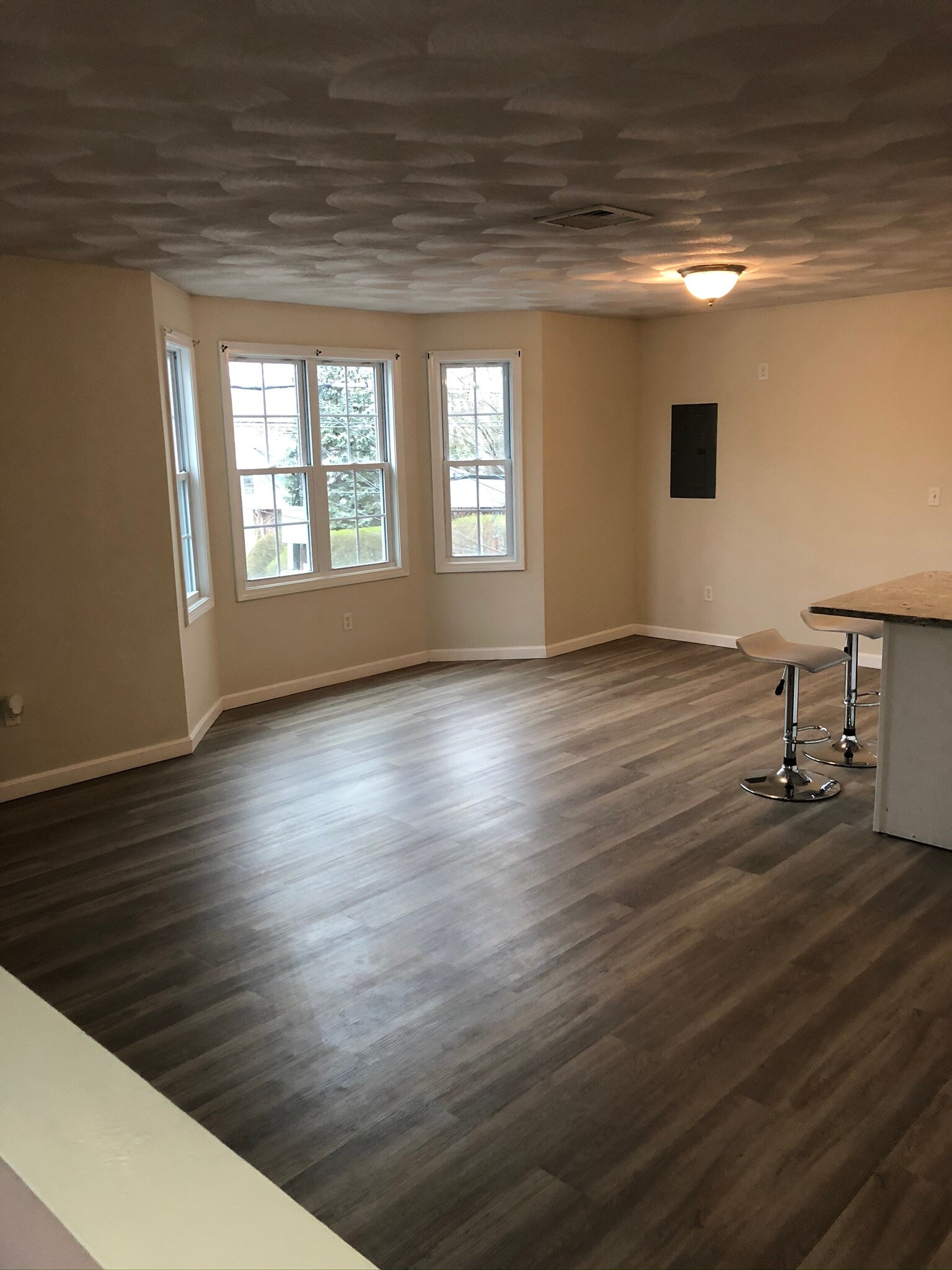 Living room and kitchen - 907 Smith St