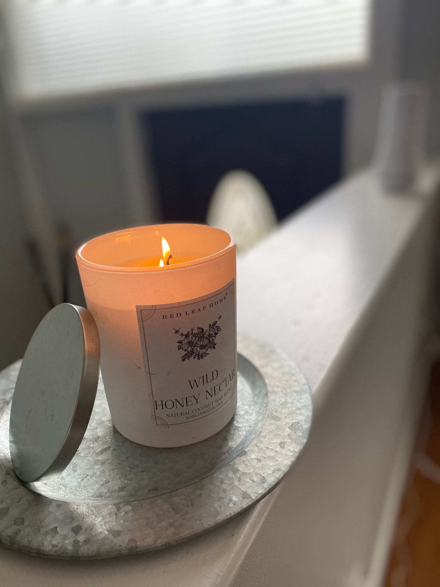 Building Photo - 121 Orlando St