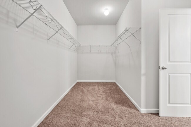 Building Photo - 3353 Ivy Farm Ct