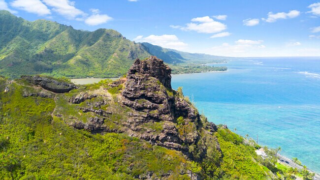 Building Photo - 51-636 Kamehameha Hwy #314, Kaaawa 96730