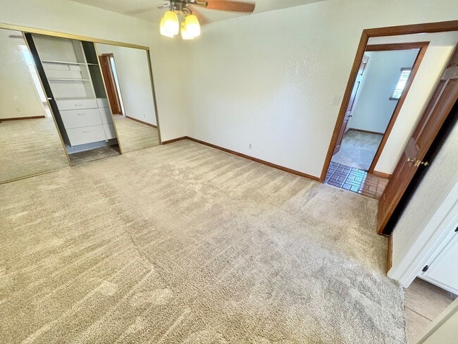 Building Photo - New Carpet and Paint, NO HOA, 3 Bed, 2 Bath home with Pool.