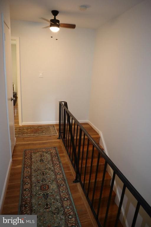 Building Photo - 10951 Amherst Ave