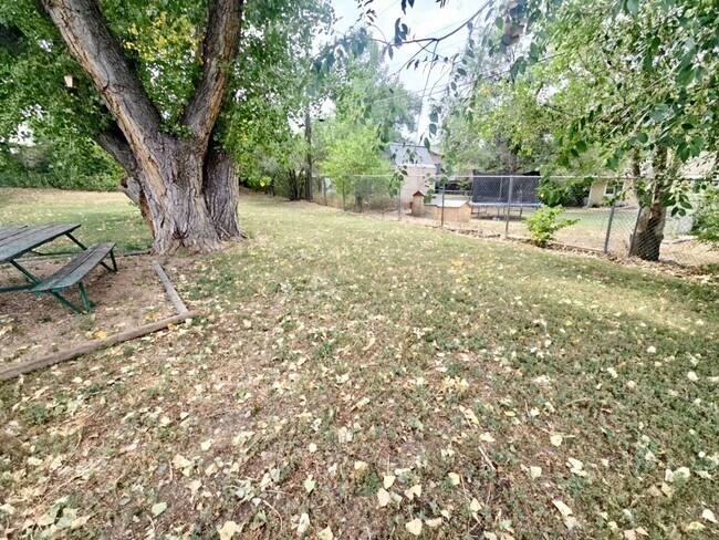 Building Photo - For Rent – Beautifully Remodeled 2-Bedroom Unit in Denver