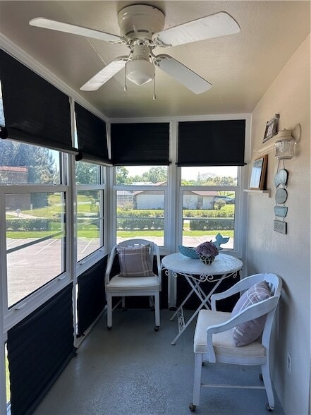 Building Photo - 16 Vista Palm Ln