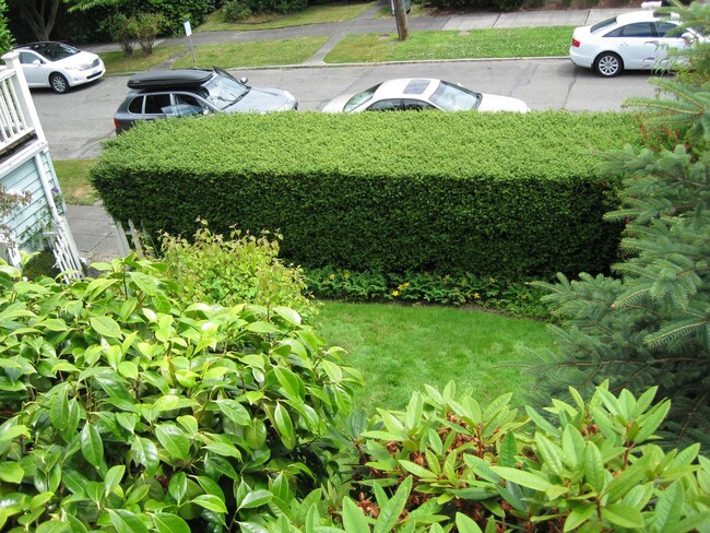 Building Photo - 3bd/2ba House in Leschi