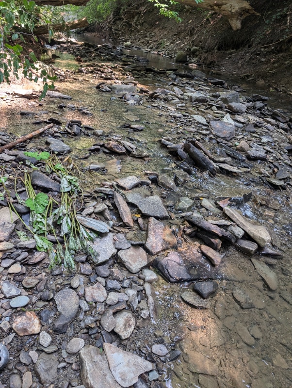 Building Photo - 5648 state route 53