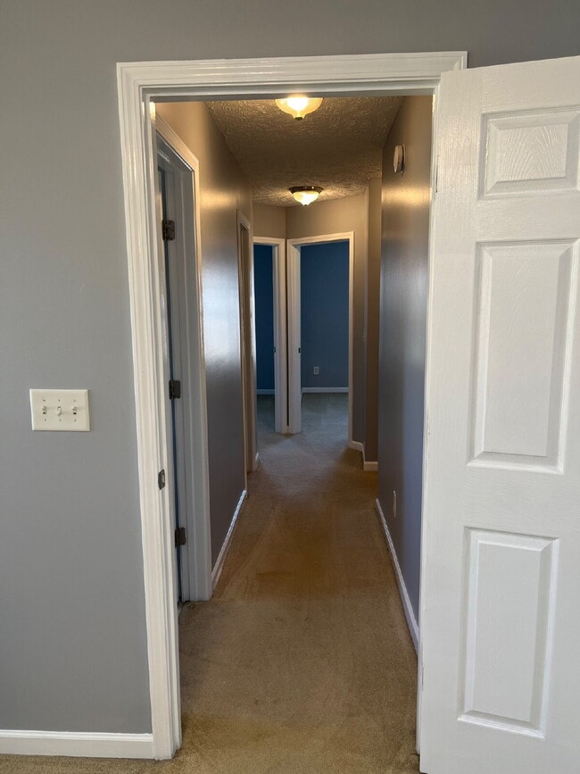 Building Photo - 2011 Orlimar Ct