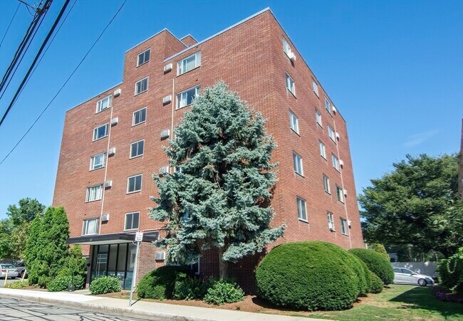 Building Photo - 47 Homer Ave