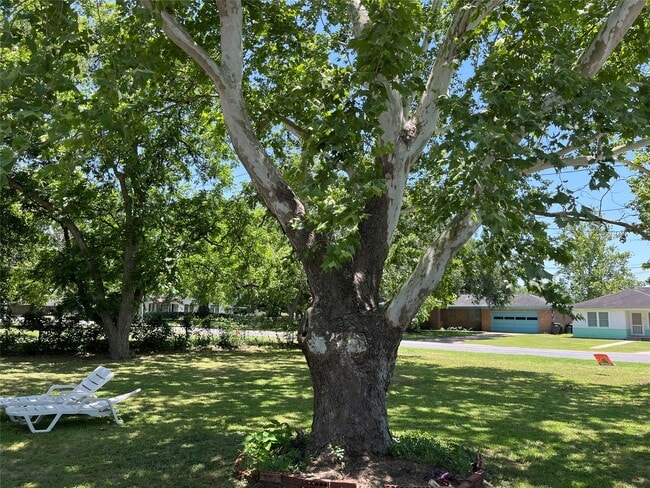 Building Photo - 1320 Montezuma St