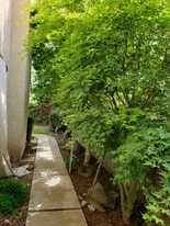 Building Photo - 2054 Pinehurst Ct