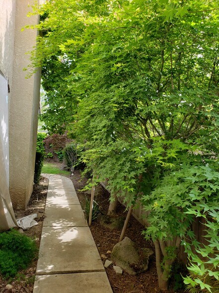 Primary Photo - 2054 Pinehurst Ct