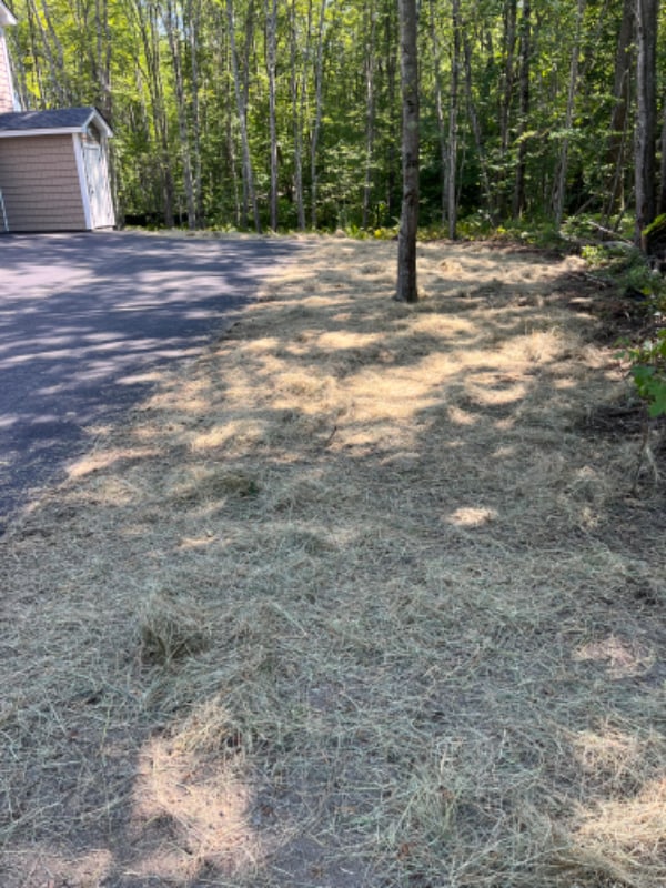 Building Photo - 49 Baribeau Dr