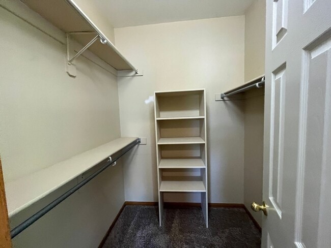 Building Photo - Beautiful Home in North Fort Collins