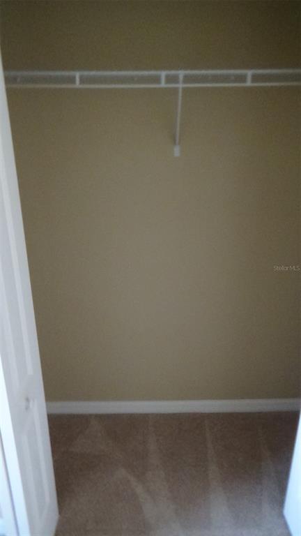 Building Photo - 1520 Scarlet Oak Loop