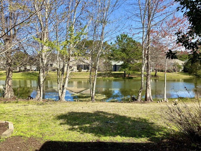 Building Photo - Beautiful Three Bedroom Home Sun City Home!
