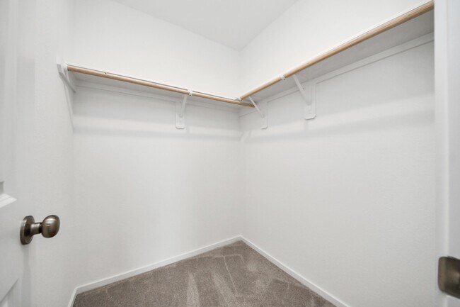 Building Photo - 13499 Sonali Springs Dr