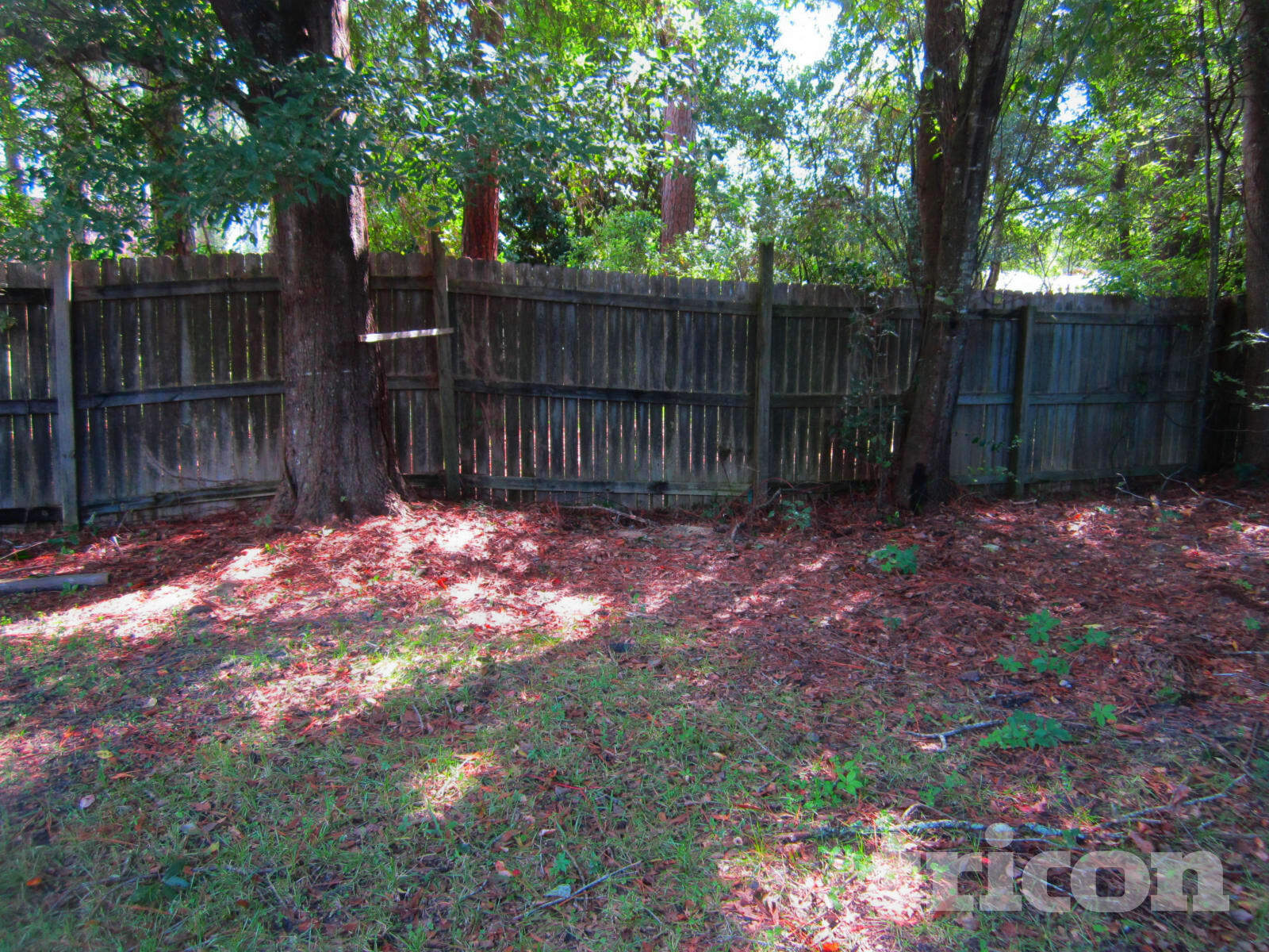 Building Photo - 11565 N Ride Cir E