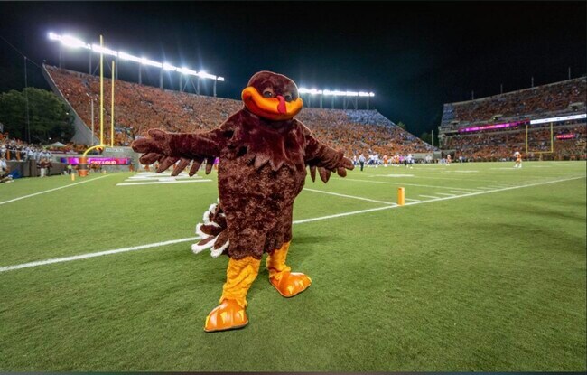 The Hokie Bird is a legend - 334 Shenandoah Cir