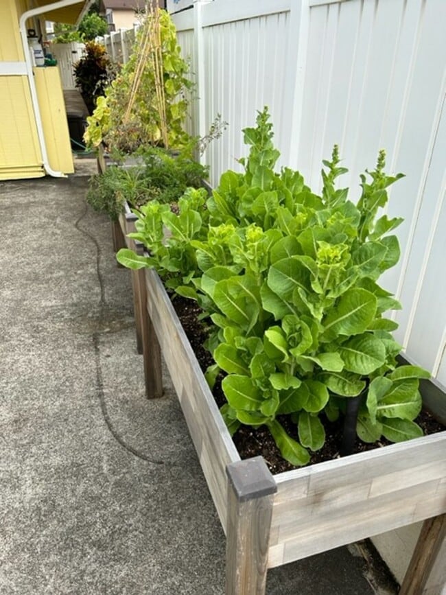 Building Photo - Available on 12/16/25, spacious 1570 sq ft, 3 Bedrooms, 2 Baths, 2 Car Garage Single-Family Home ...