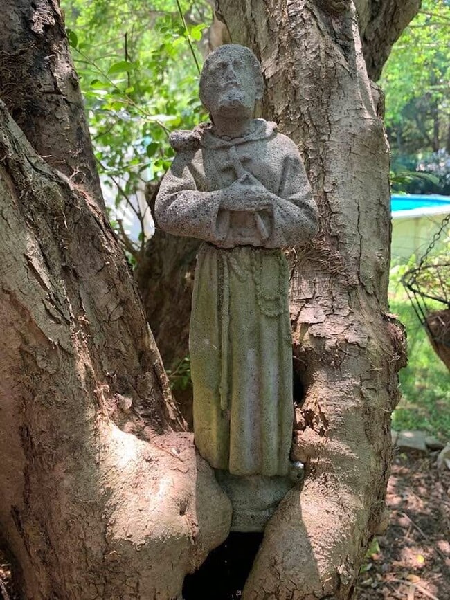 Building Photo - 49 Duke St