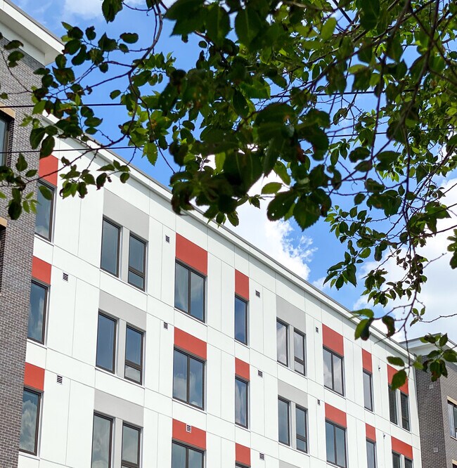 Building Photo - OVM Residences