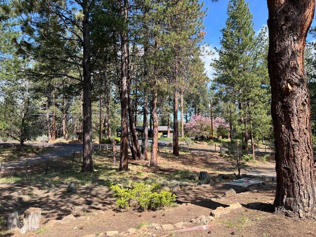 Building Photo - Nature Retreat on 0.6 Acres Near the Desch...