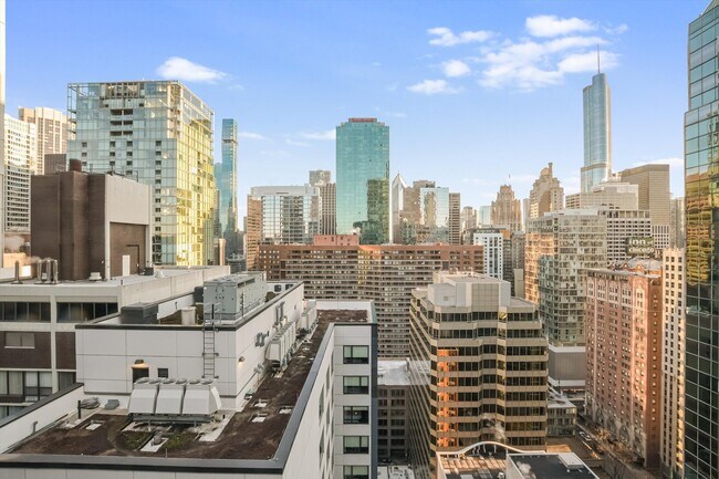 Building Photo - 233 E Erie St