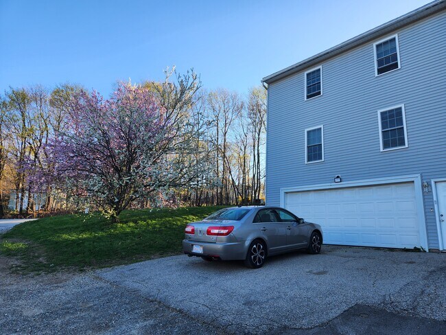 Front of House, View of side lawn - 1 Rosamond St