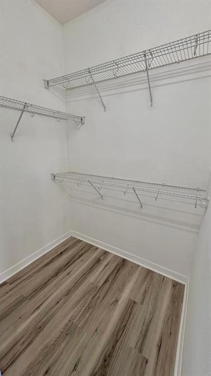 Building Photo - 10742 Savannah Wood Ct