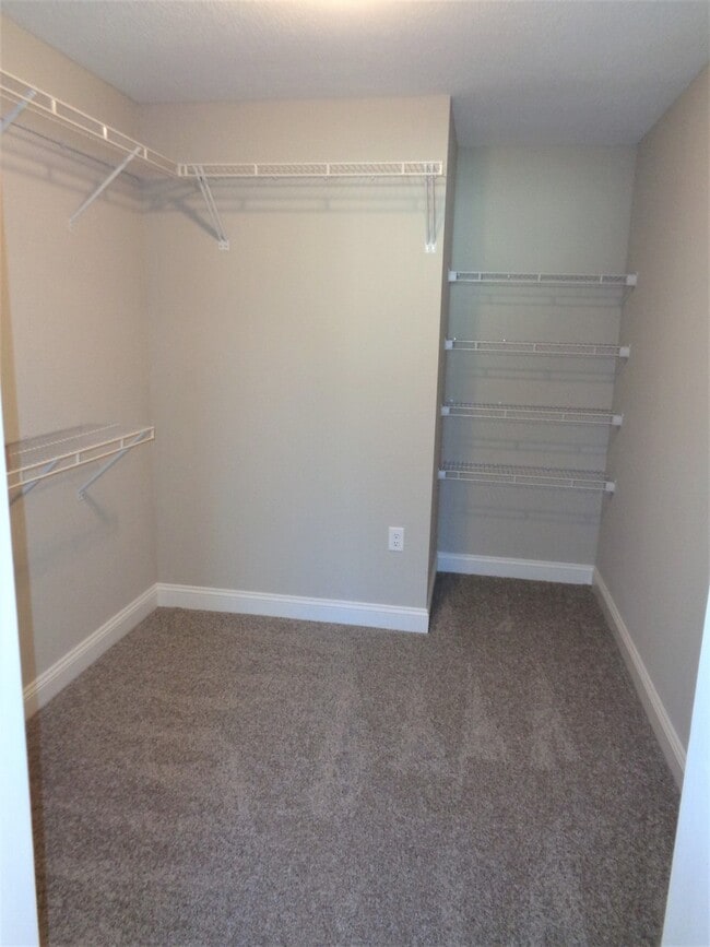 Building Photo - Elegant Southern Comfort: Your Dream Home ...