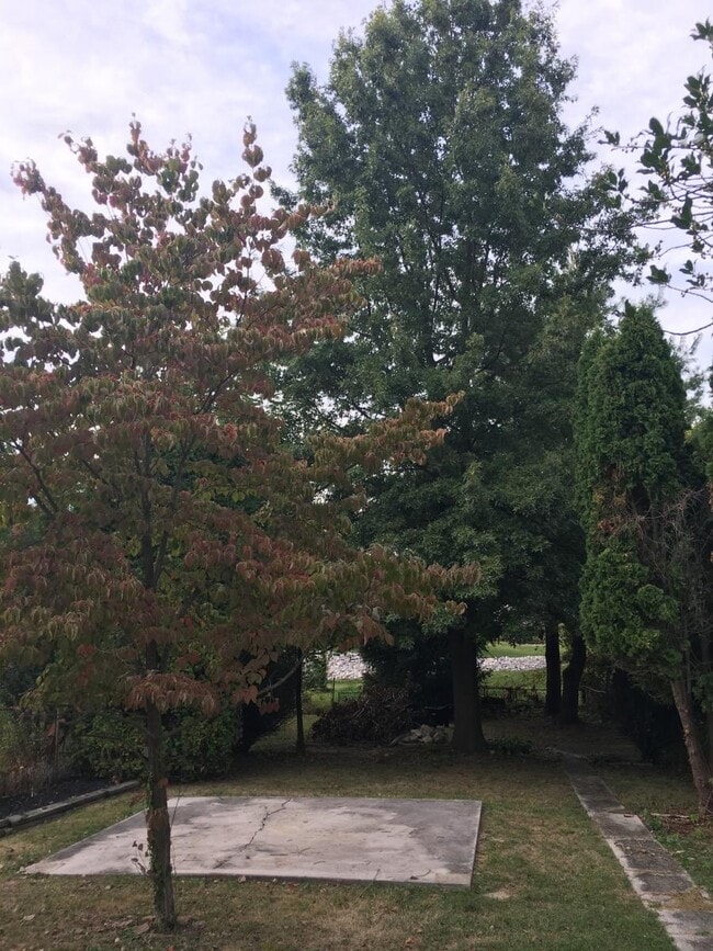 Building Photo - 20 Bowman Rd