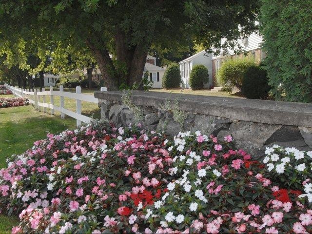 Building Photo - Chicopee Village Townhomes