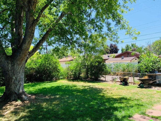 Building Photo - 3 Bedroom, 2 Bath Ranch Home with 1 Car Attached Garage in Greeley, Colorado