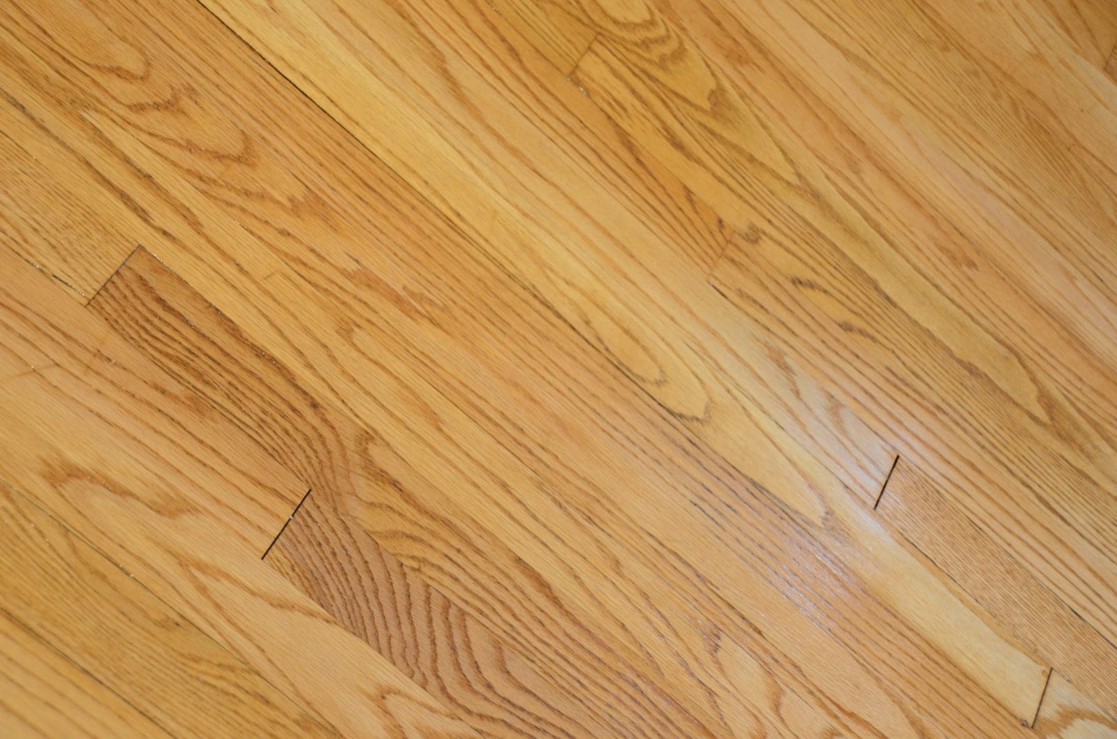 Building Photo - 8210 Greenwood Ave