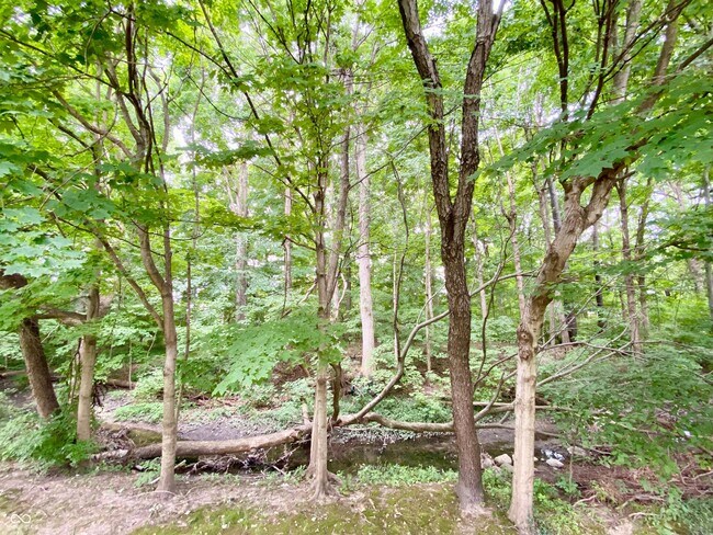 Building Photo - 5335 Rippling Brook Way