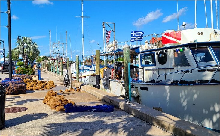 Sponge Docks - 1250 S Pinellas Ave