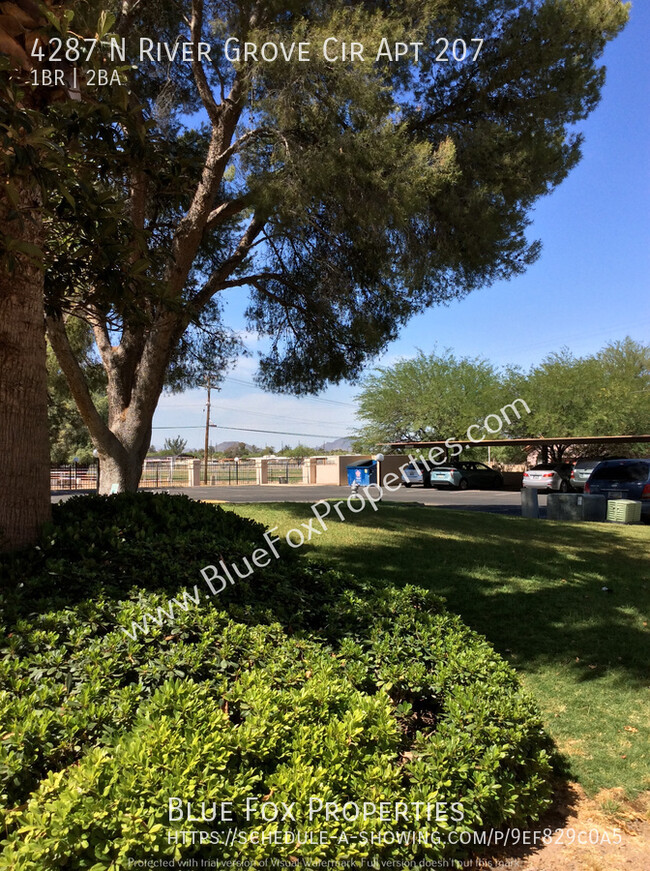 Building Photo - Beautiful Condo 10mins to UofA!