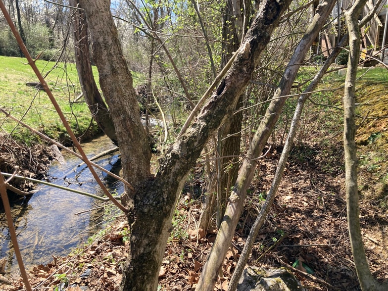 Building Photo - 2305 S Greenwood Dr