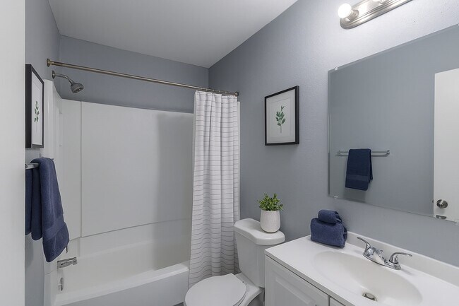 Building Photo - 3118 Lucida Ln