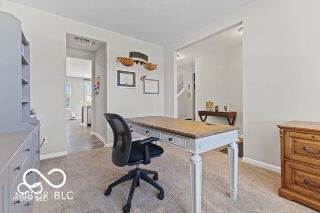 Building Photo - 1119 Cobra Dr