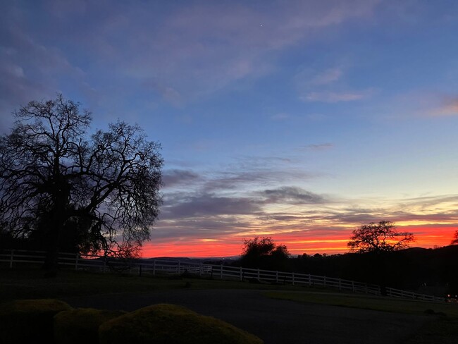 Building Photo - Custom Home With Gorgeous Views Available ...