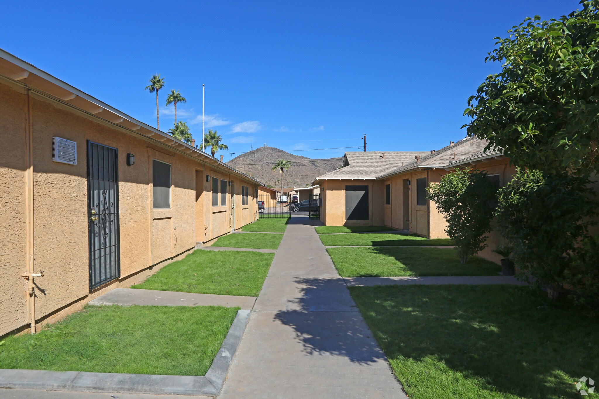 Ironwood Apartments 901 W Cinnabar Ave Phoenix AZ 85021 Apartment Finder