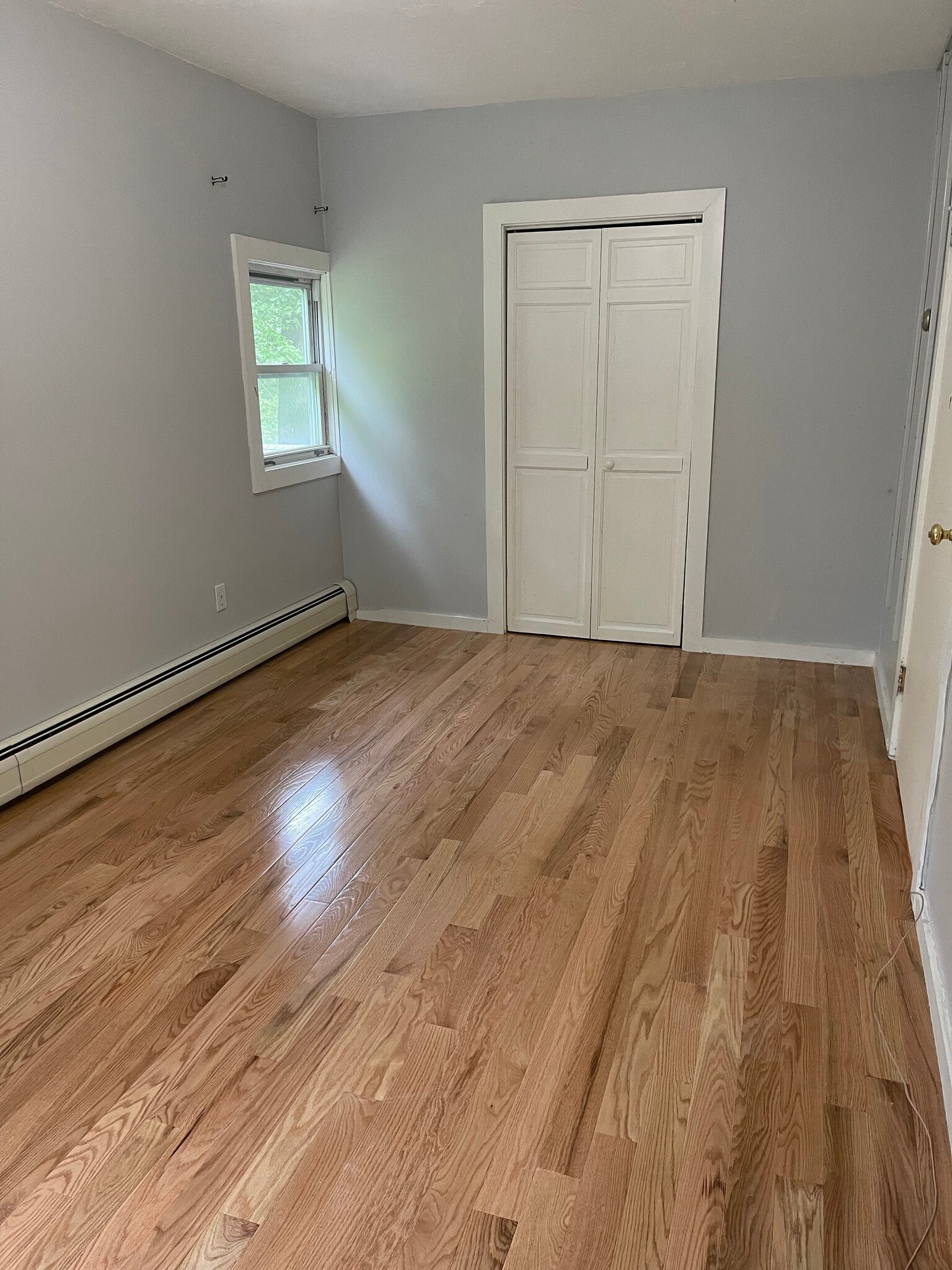 Bedroom 2 - 17 Elderberry Dr