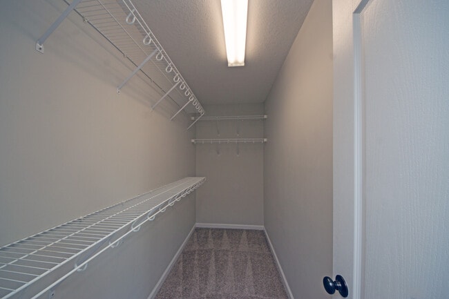 Building Photo - 300 Cadenza Ln