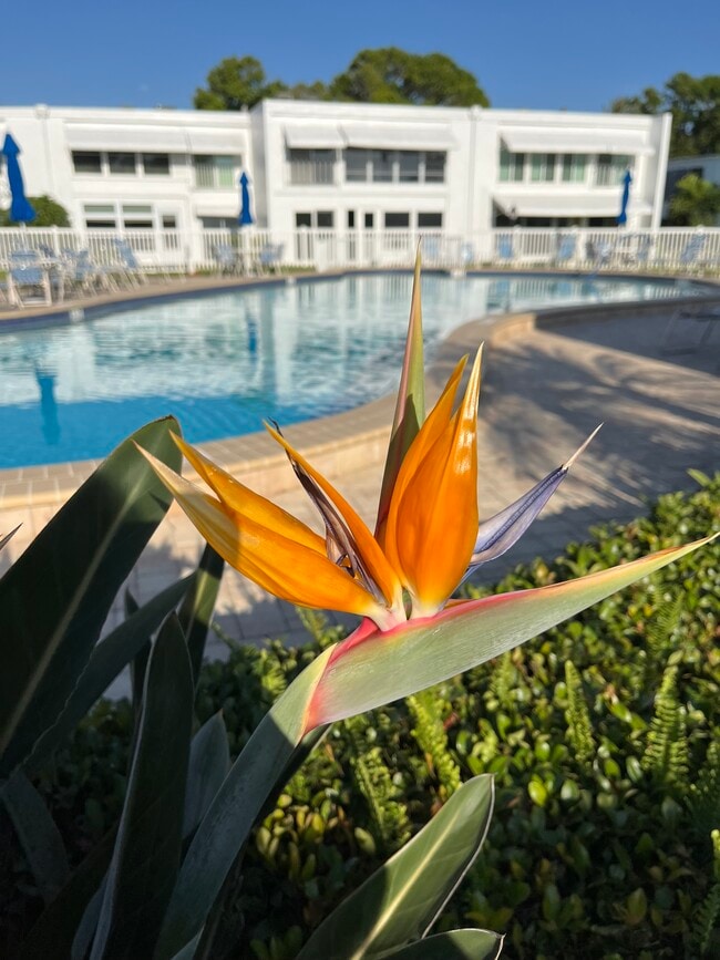 Building Photo - 1655 S Highland Ave